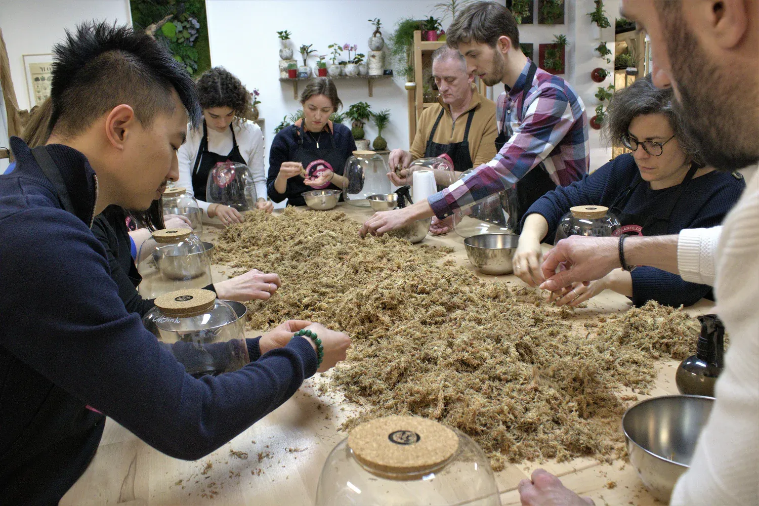 Team Building : Créez votre propre Terrarium avec Boby la Plante