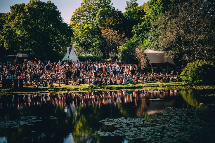 festival.jpg
