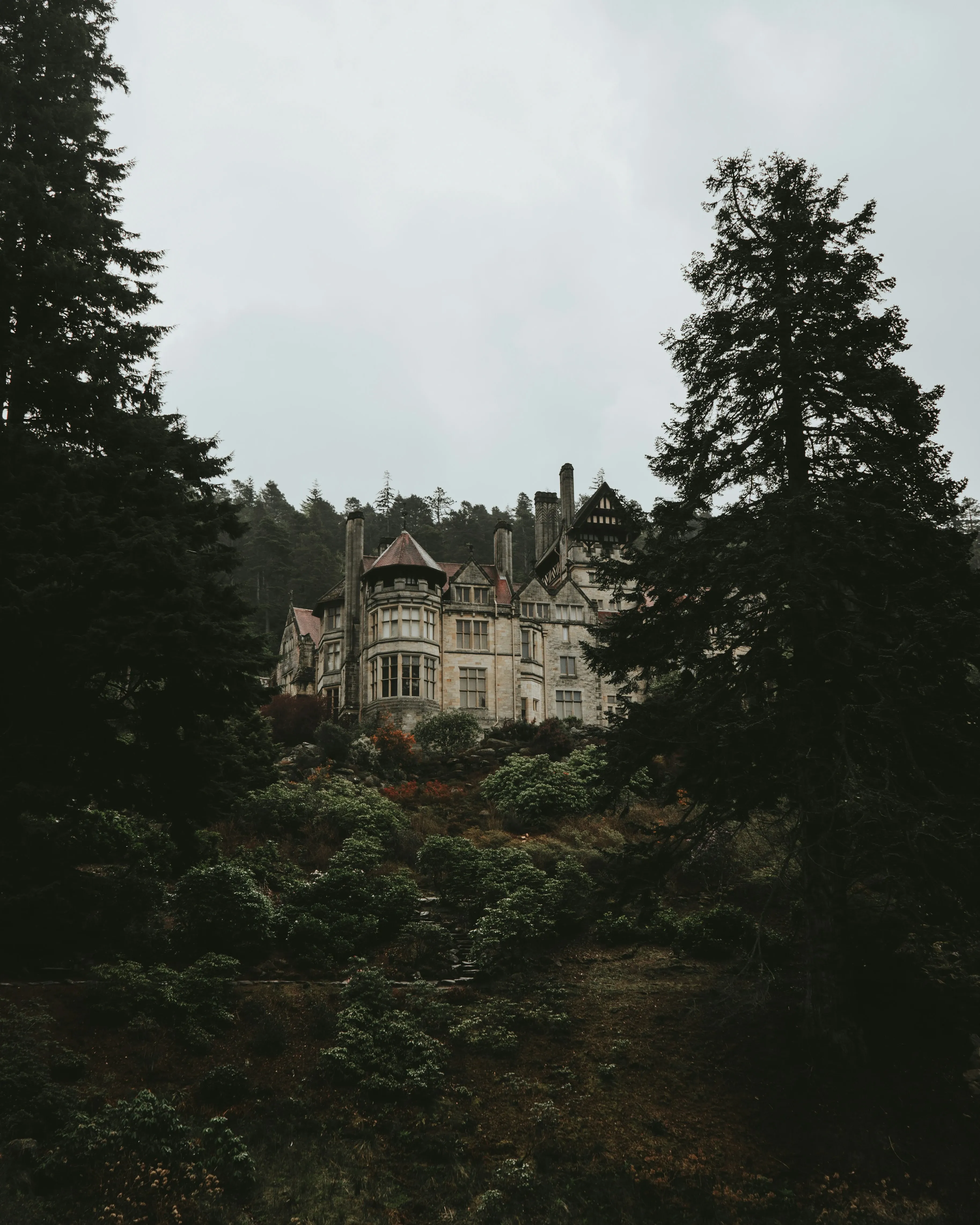 WEI "Meurtre au Manoir"